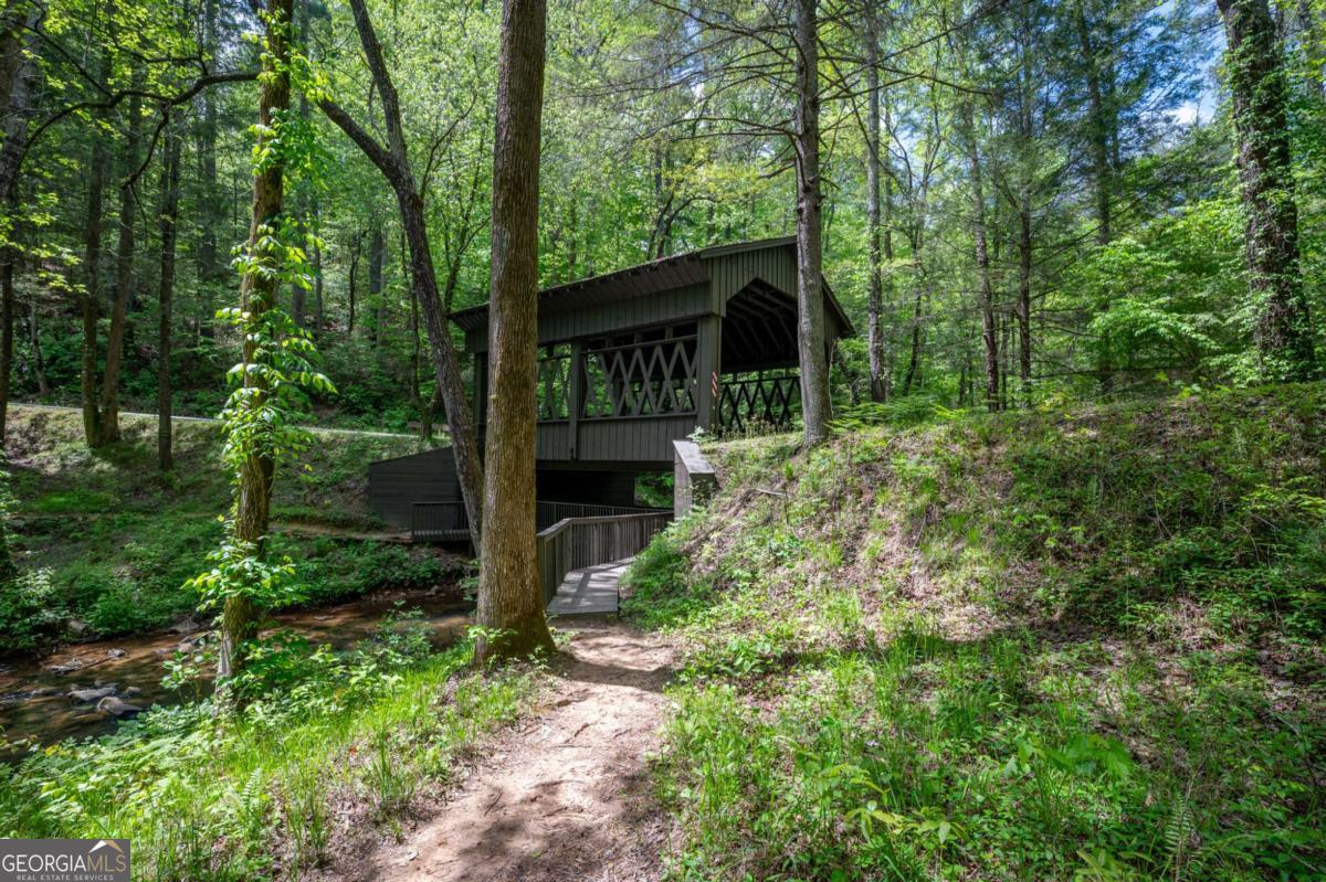 495 Bear Creek Drive Big Canoe GA 30143
