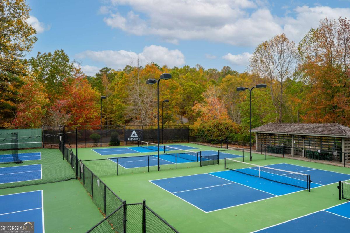 495 Bear Creek Drive Big Canoe GA 30143