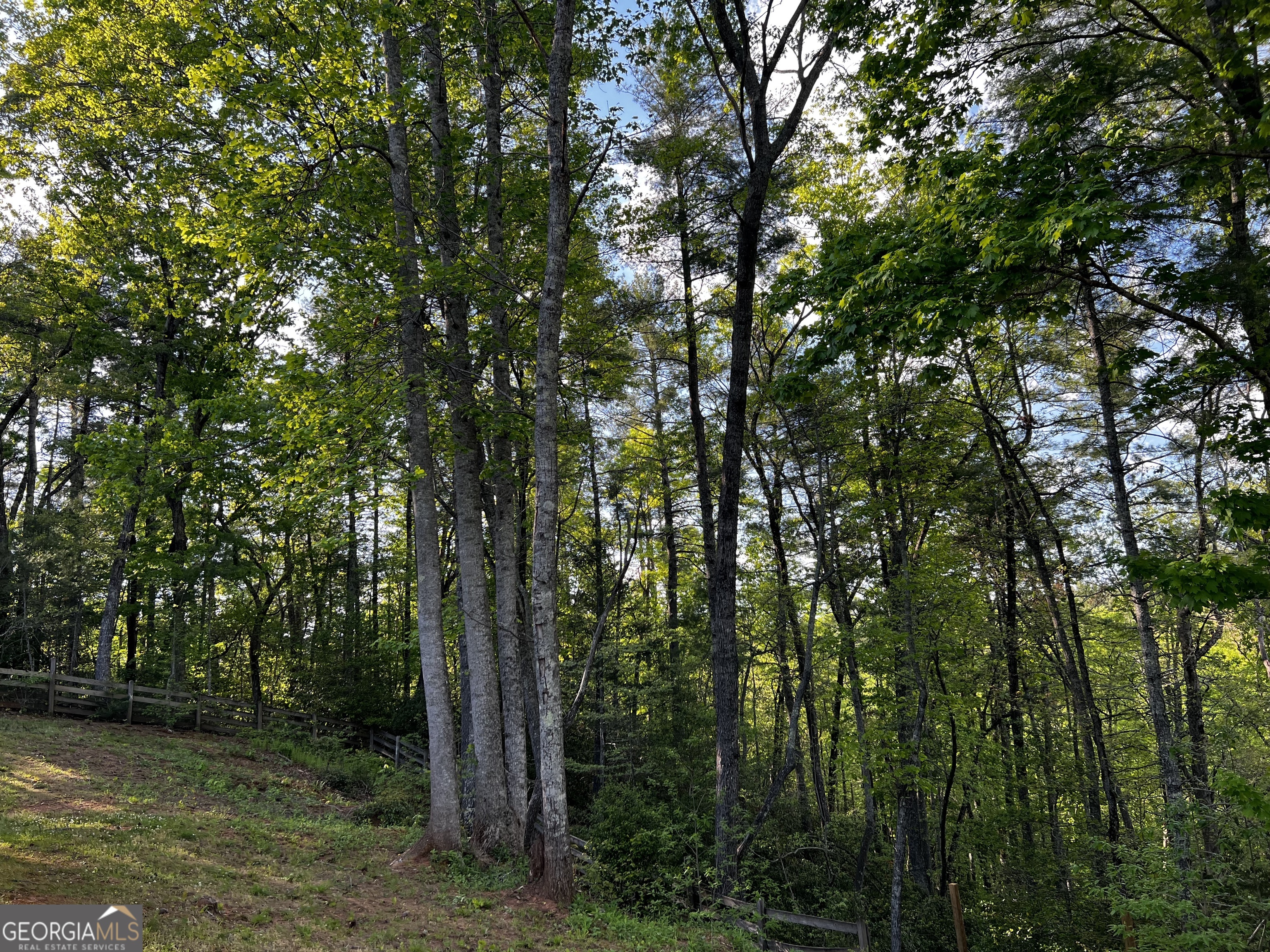 221 Muscadine Road Dahlonega GA 30533