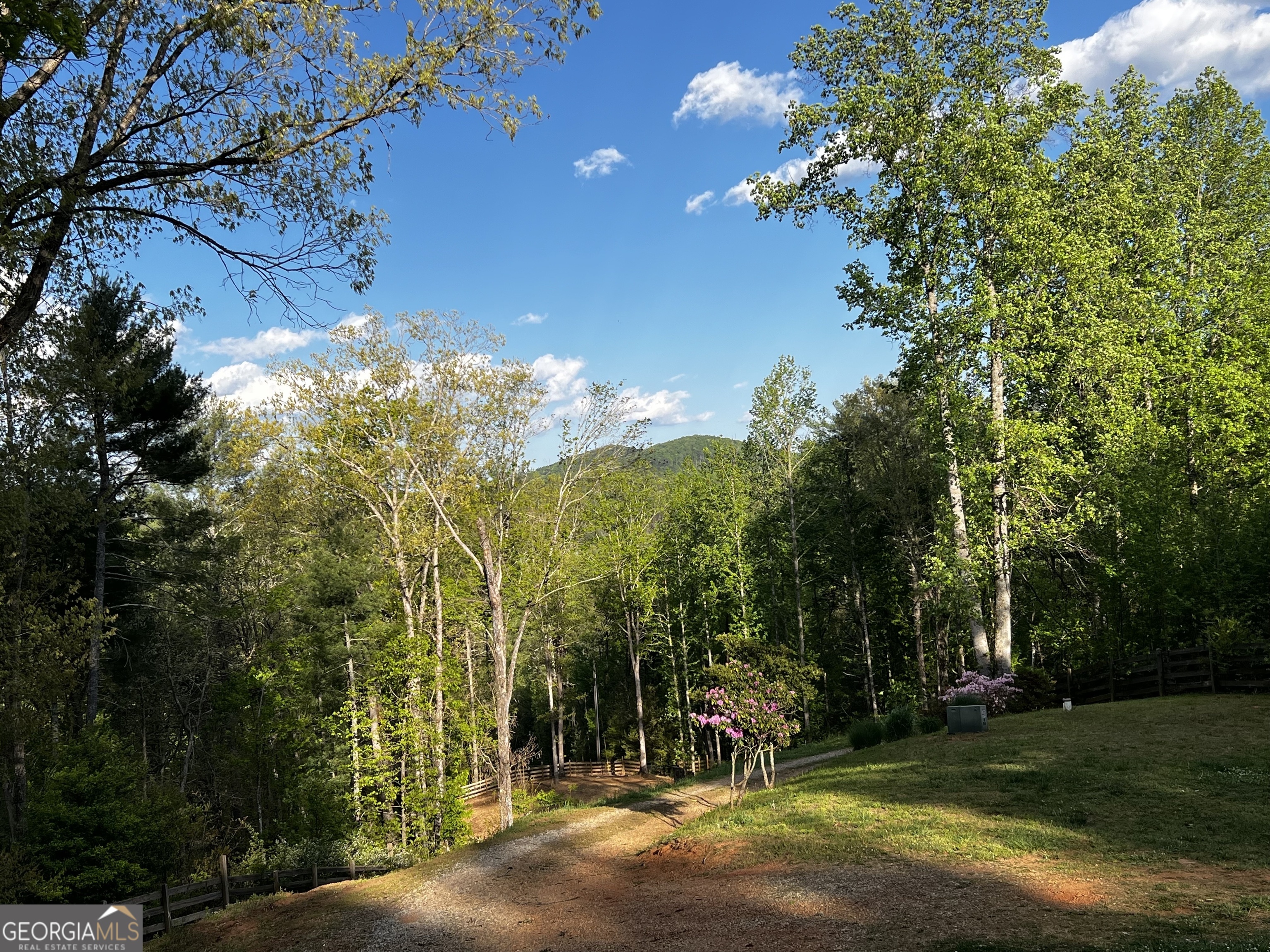 221 Muscadine Road Dahlonega GA 30533