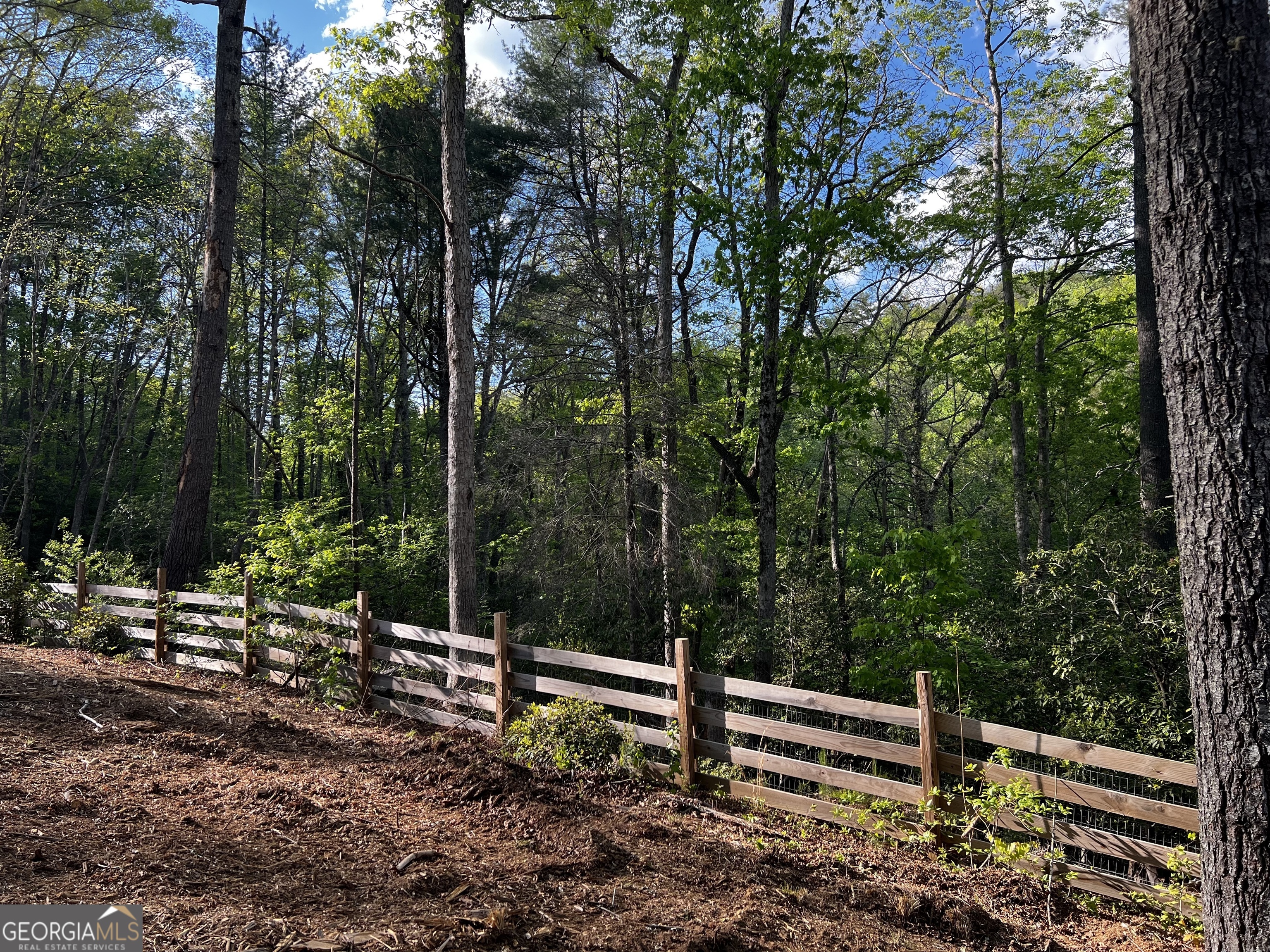 221 Muscadine Road Dahlonega GA 30533