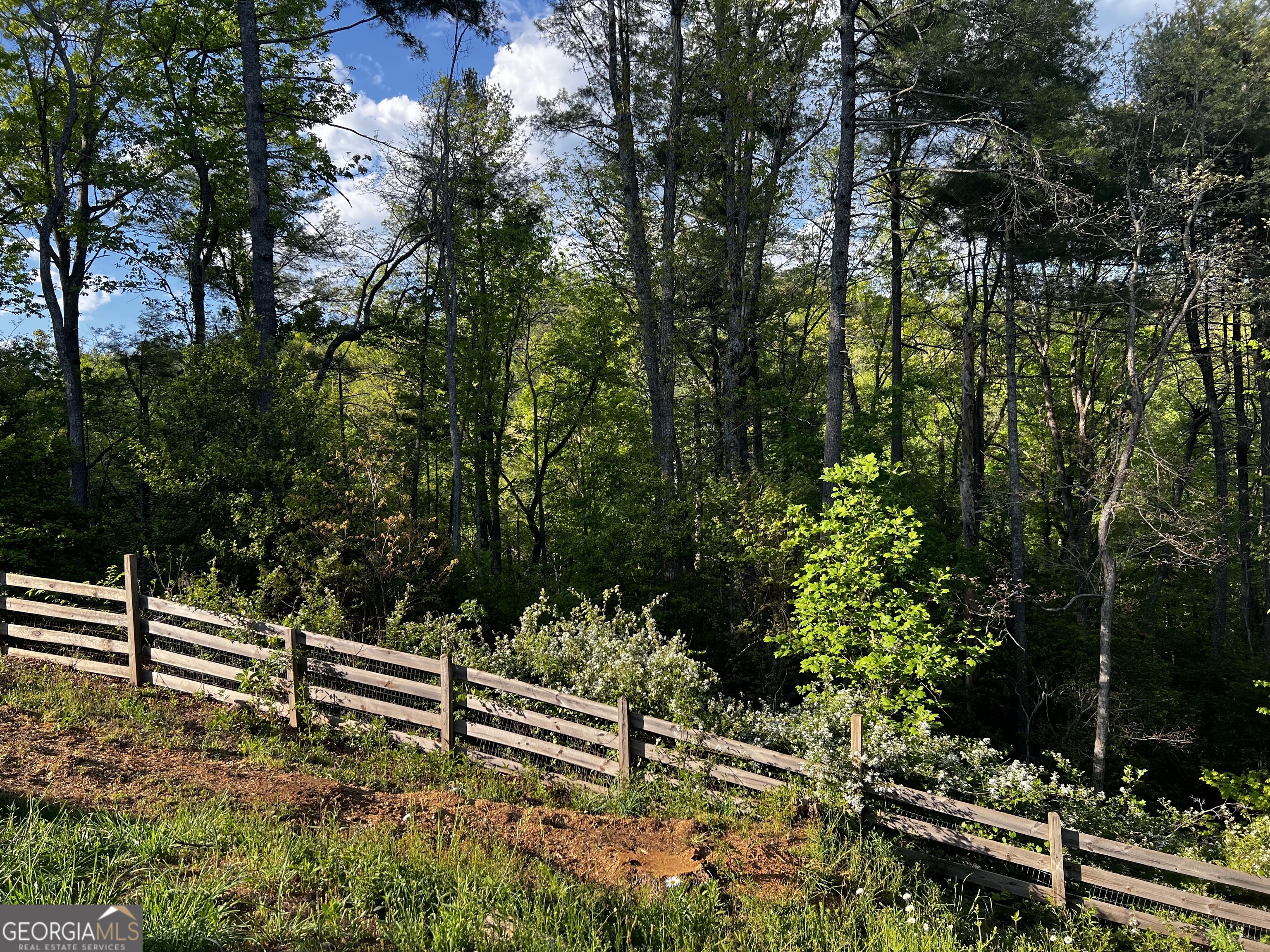 221 Muscadine Road Dahlonega GA 30533
