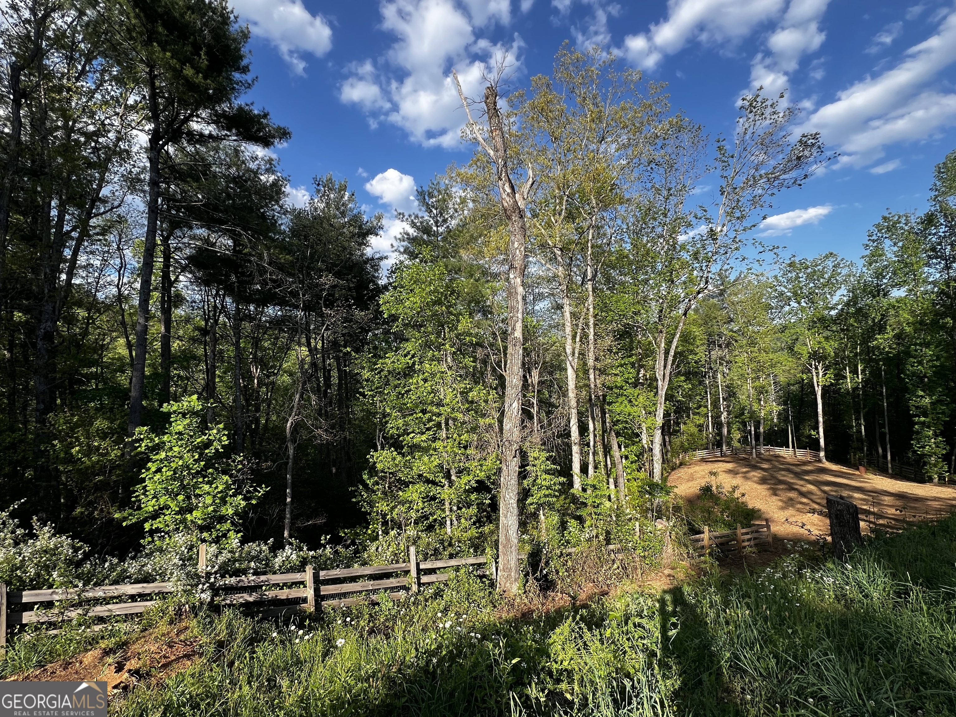 221 Muscadine Road Dahlonega GA 30533