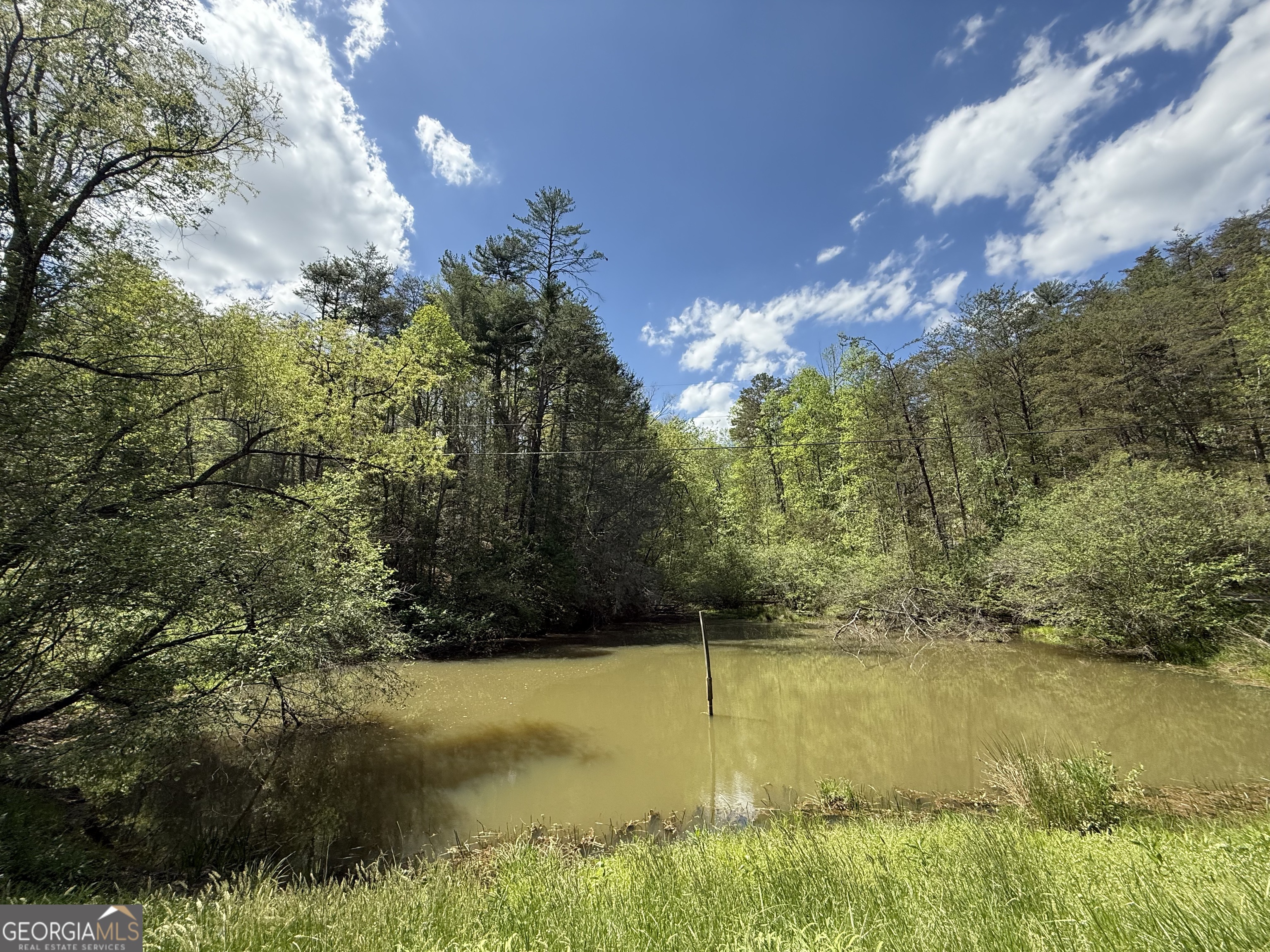 221 Muscadine Road Dahlonega GA 30533