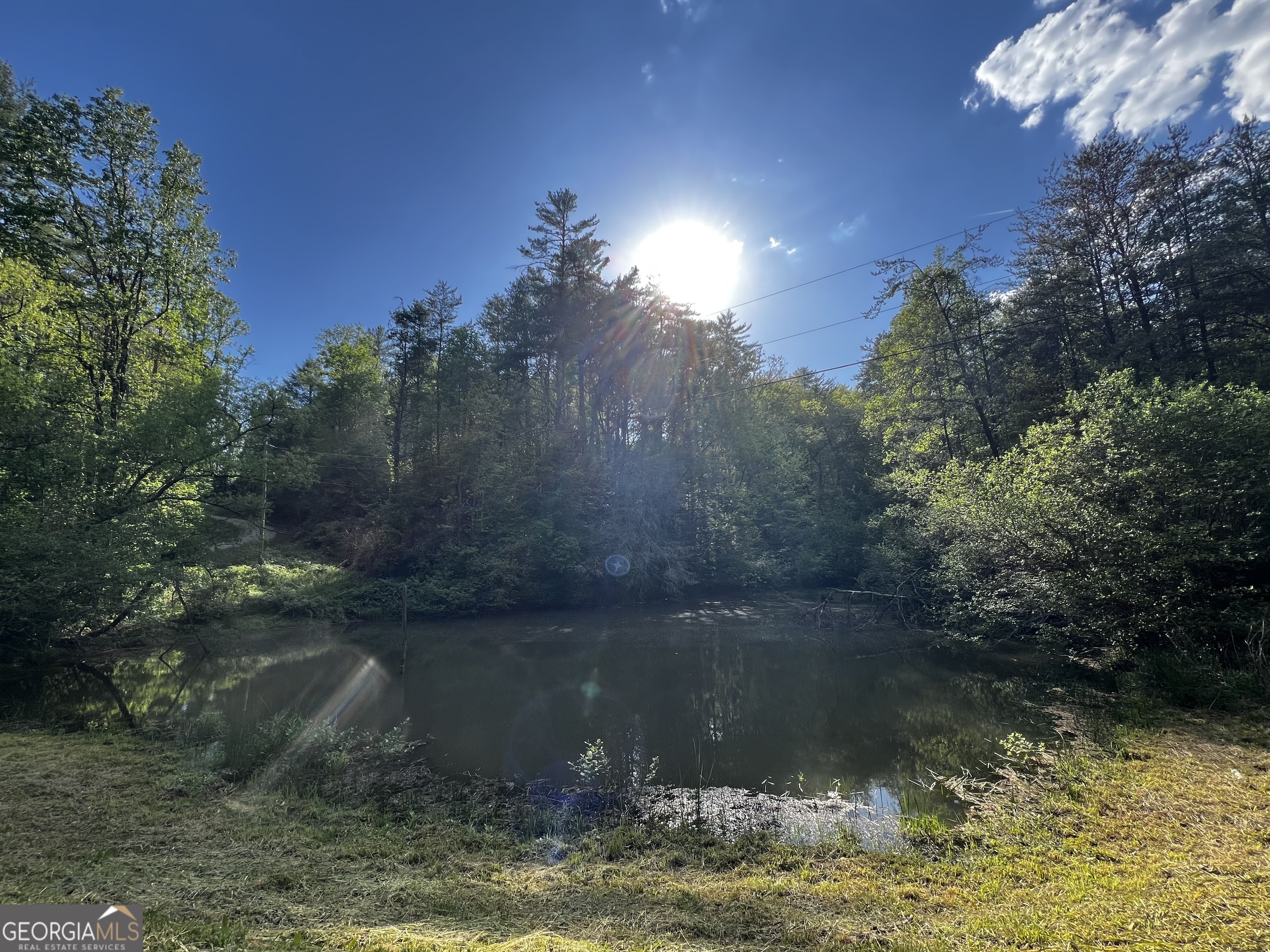 221 Muscadine Road Dahlonega GA 30533