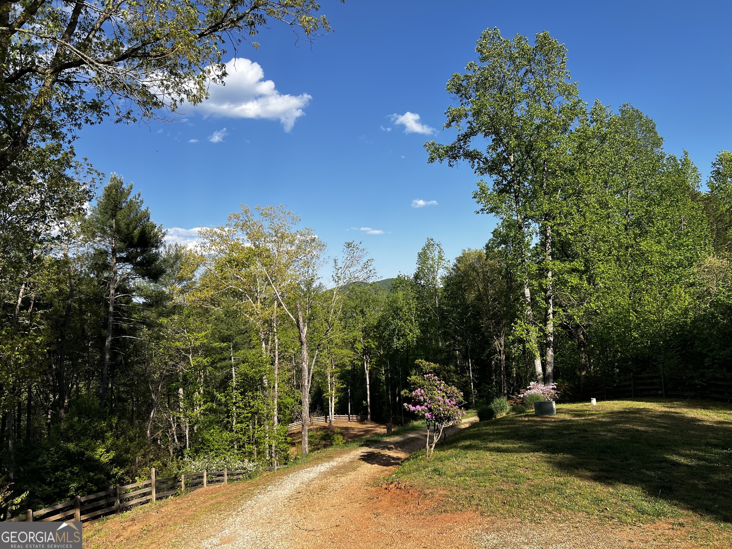 221 Muscadine Road Dahlonega GA 30533