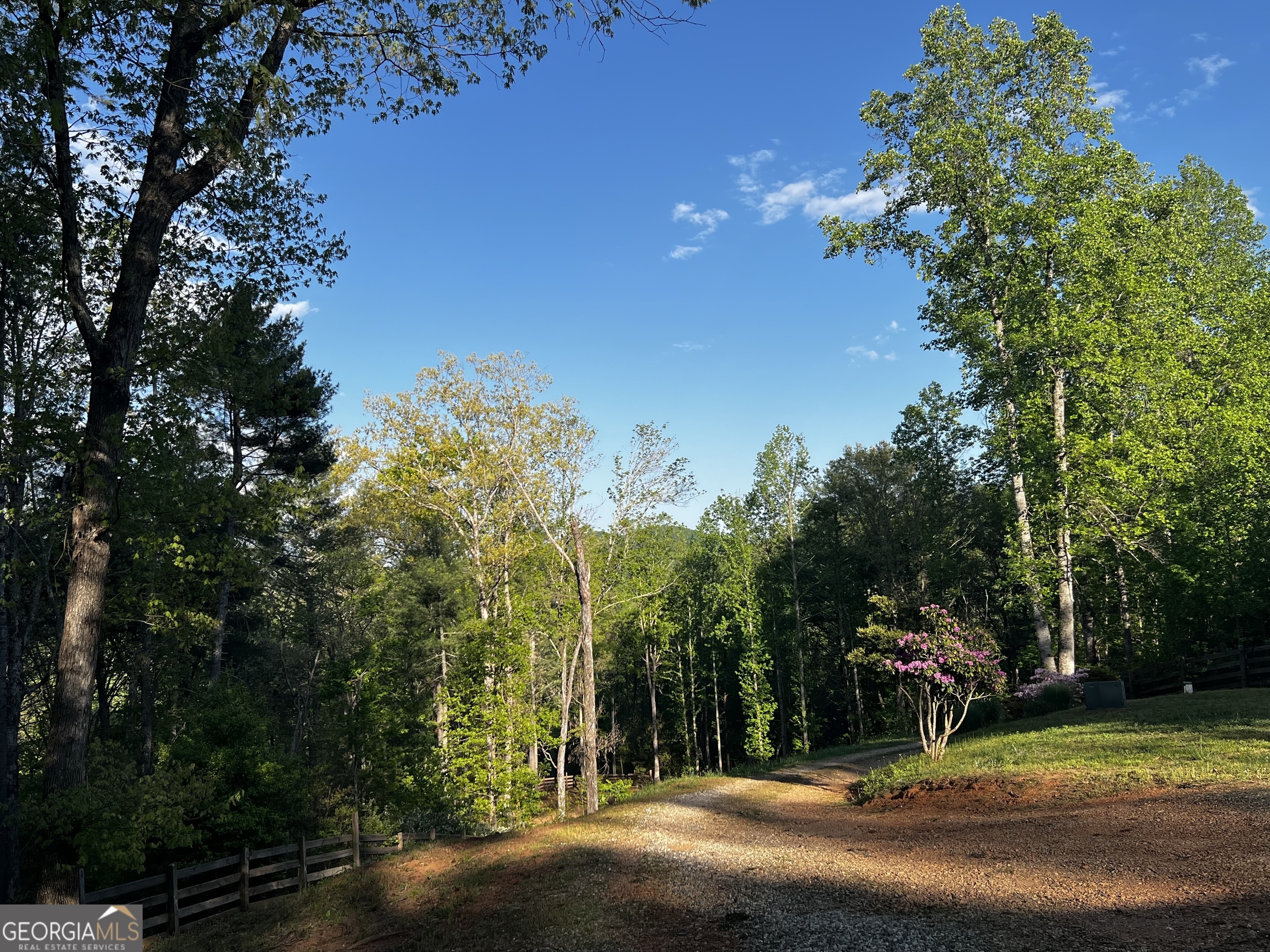 221 Muscadine Road Dahlonega GA 30533