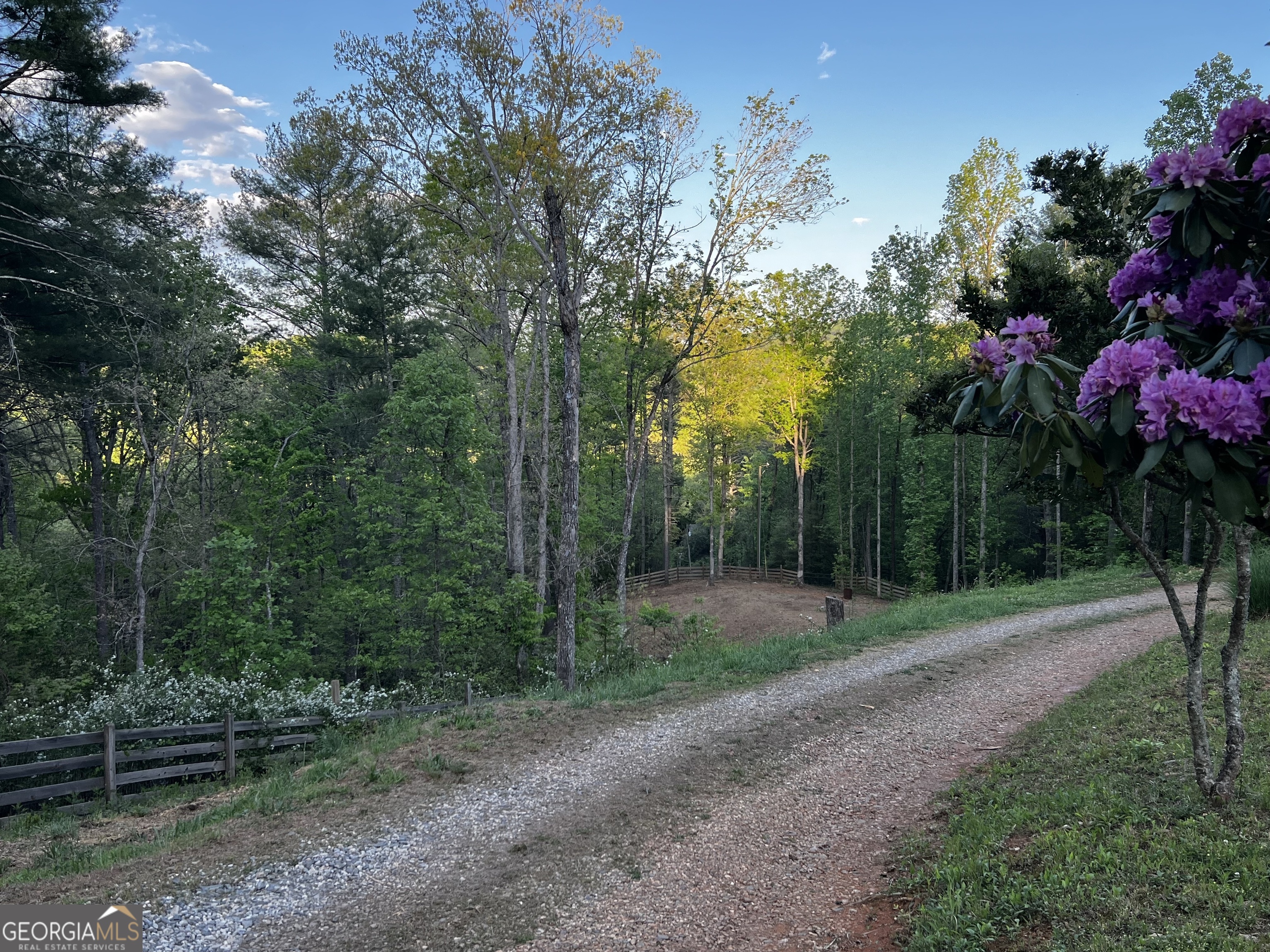 221 Muscadine Road Dahlonega GA 30533