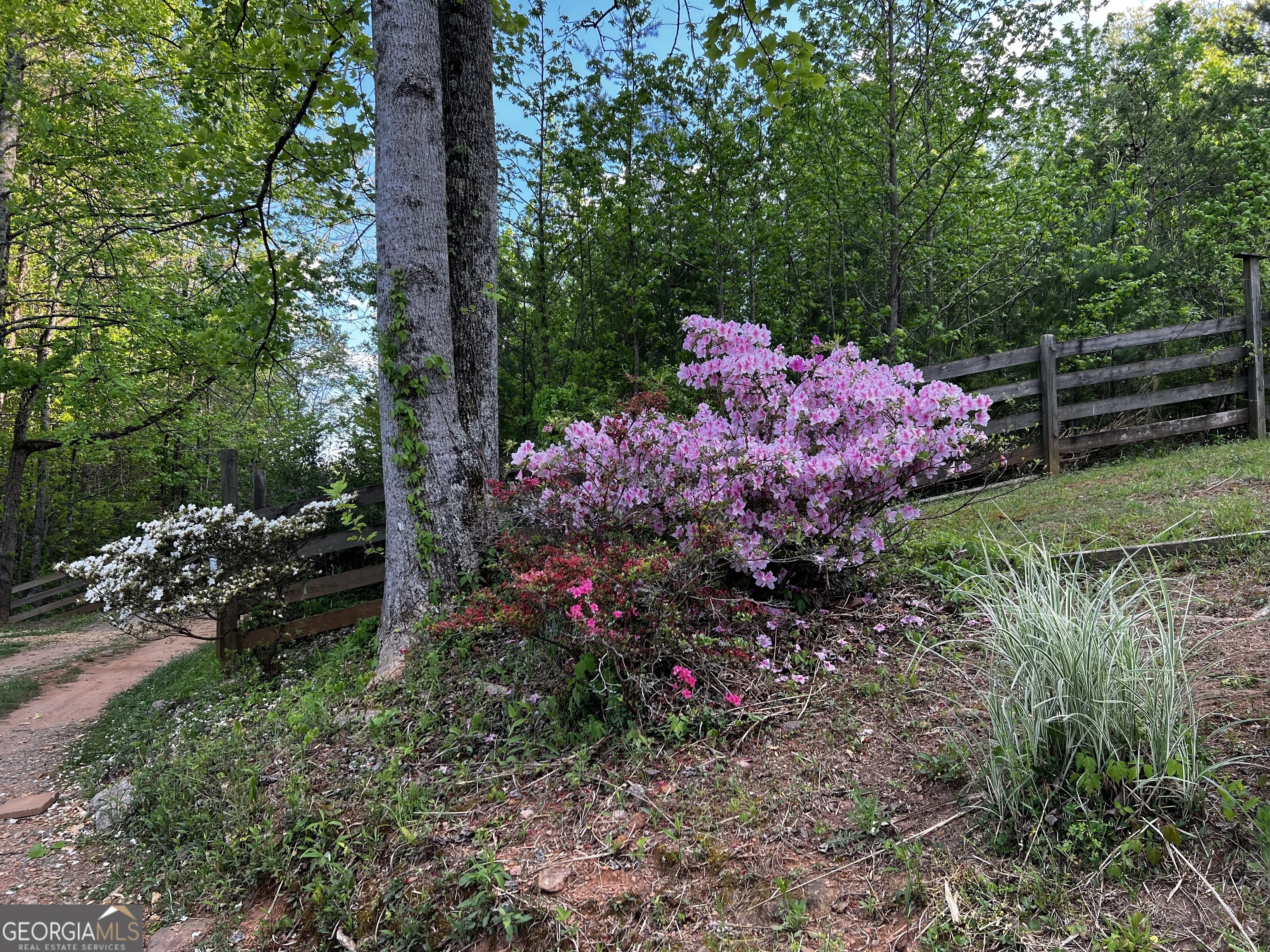 221 Muscadine Road Dahlonega GA 30533