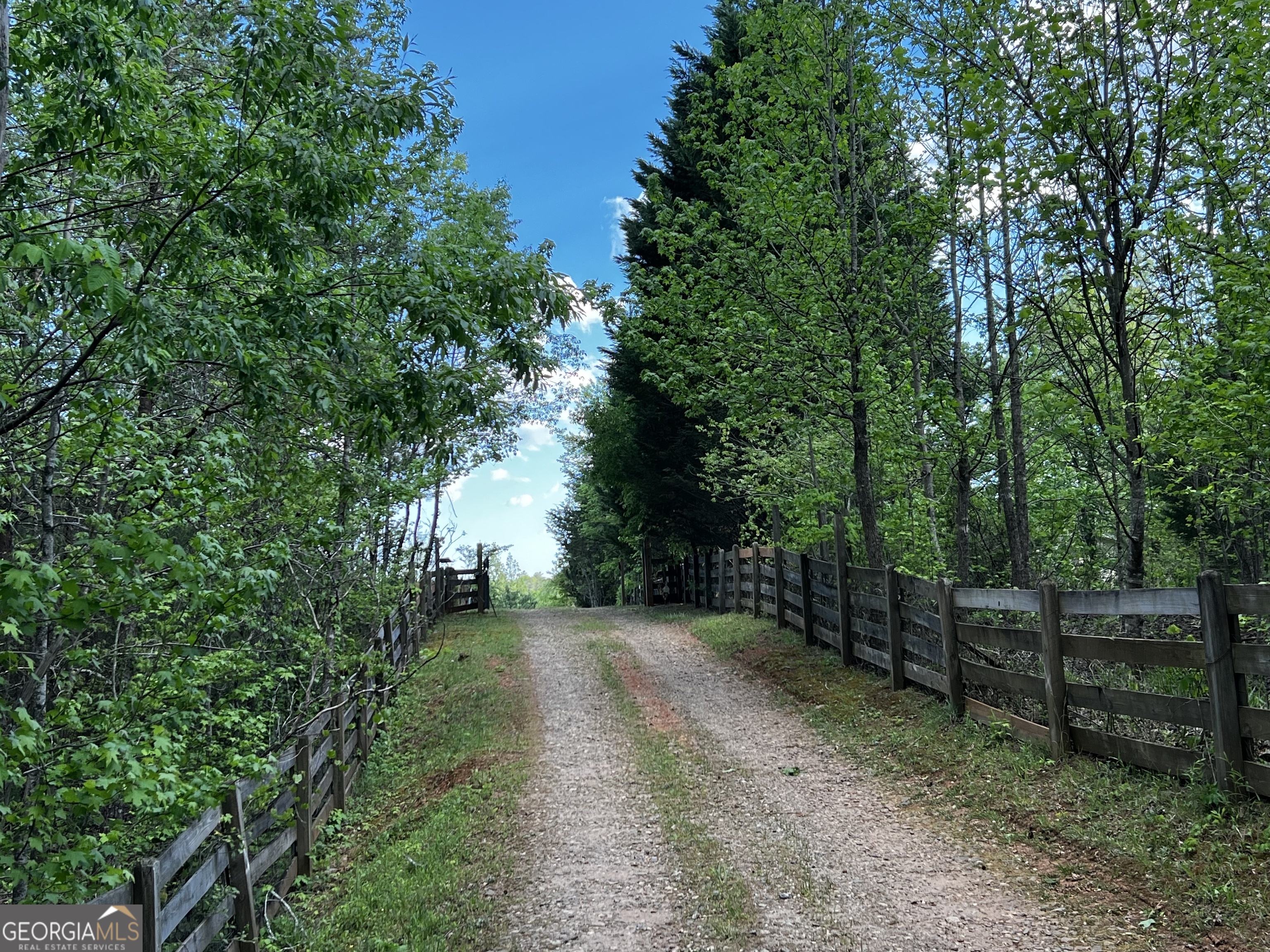 221 Muscadine Road Dahlonega GA 30533