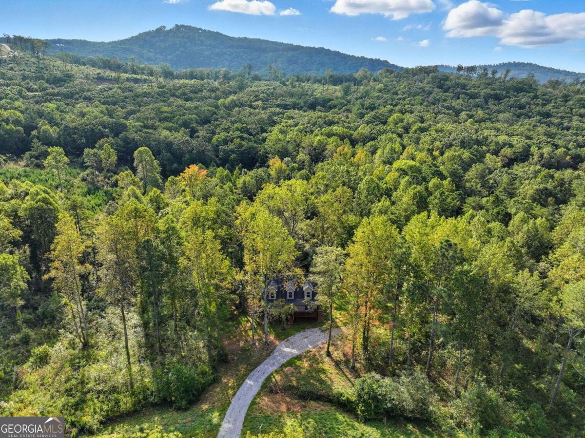 235 Oak Park Drive Talking Rock GA 30175