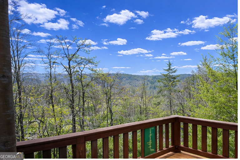 206 Misty Hollow Blue Ridge GA 30513