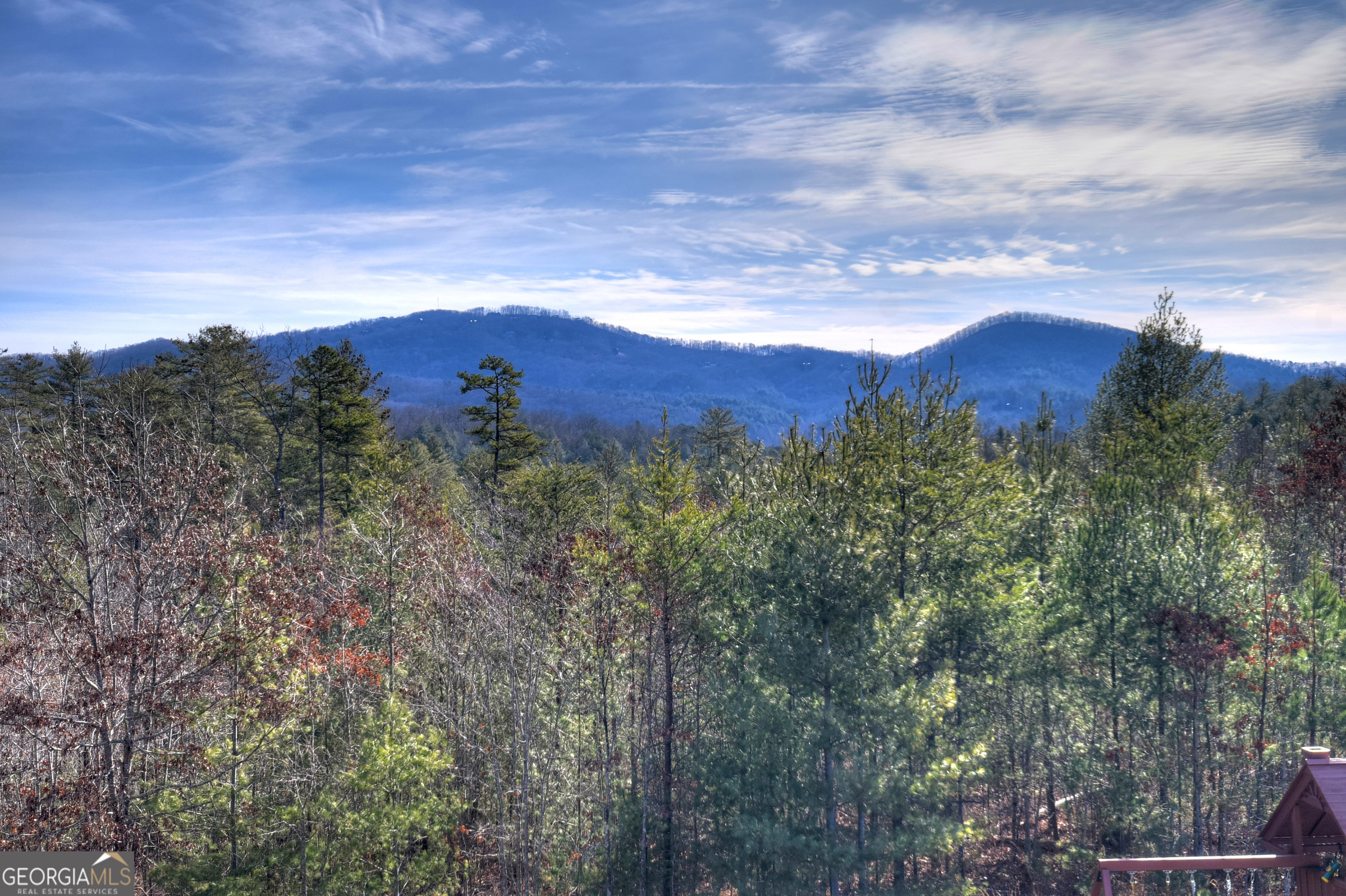 1038 Synacia Drive Mineral Bluff GA 30559