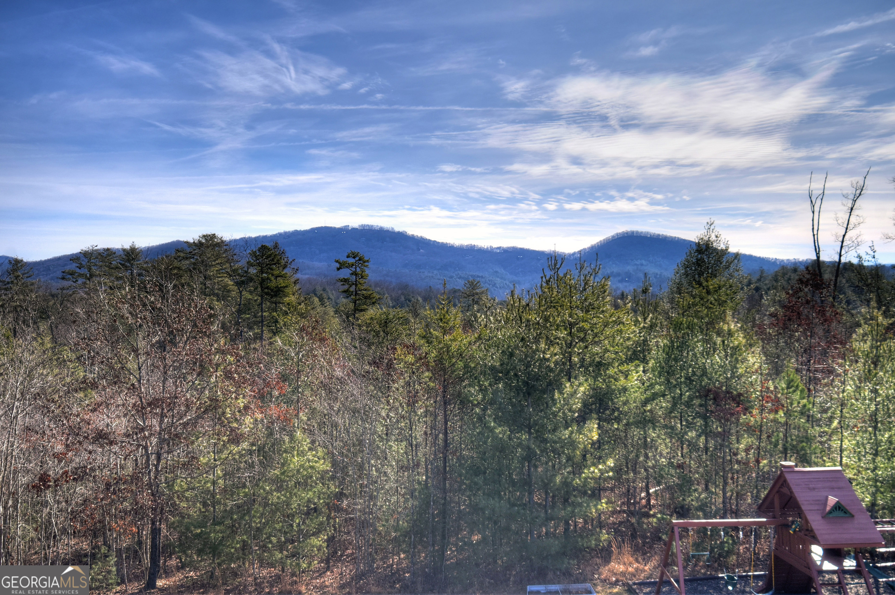 1038 Synacia Drive Mineral Bluff GA 30559