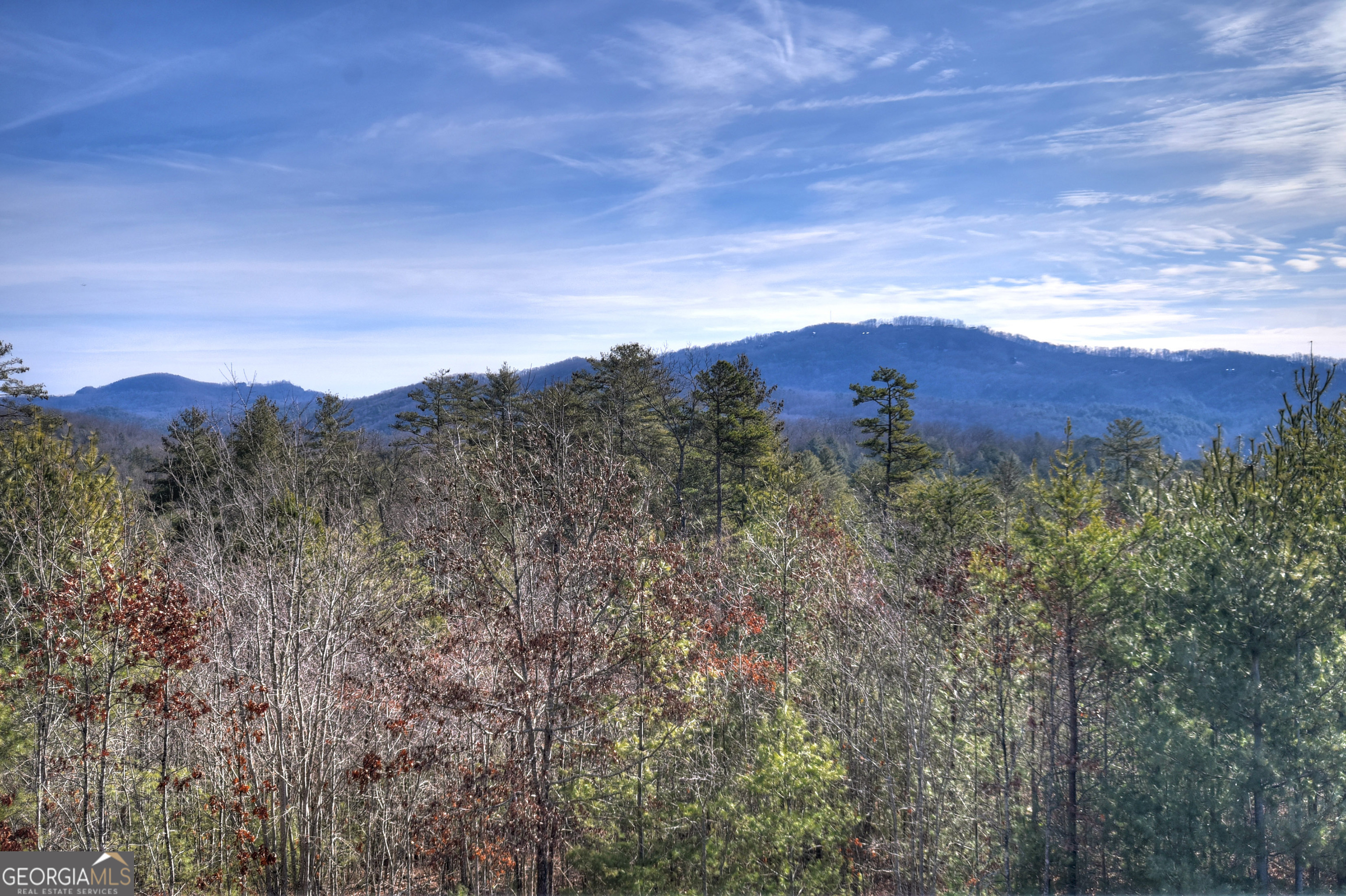 1038 Synacia Drive Mineral Bluff GA 30559