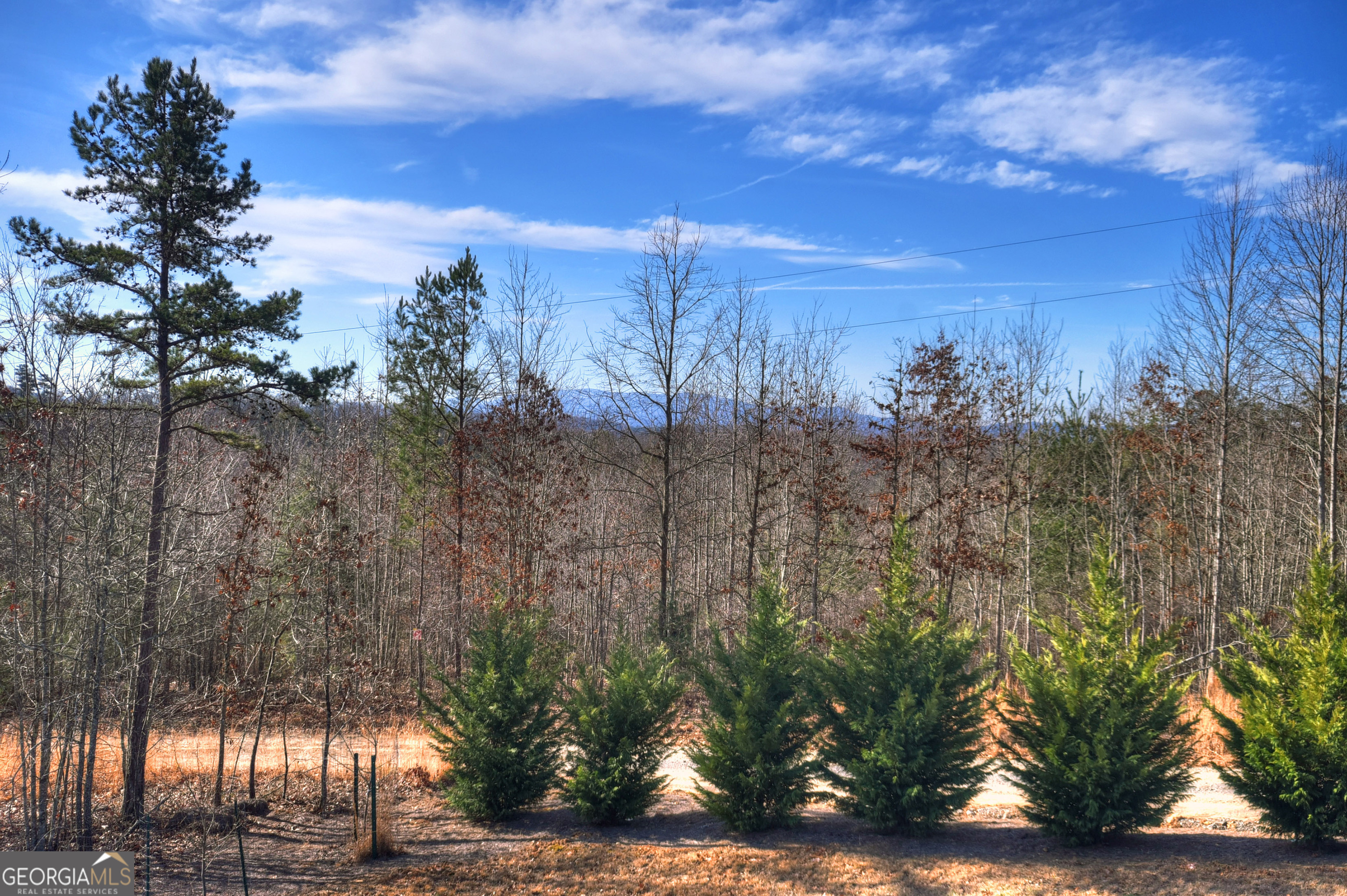 1038 Synacia Drive Mineral Bluff GA 30559