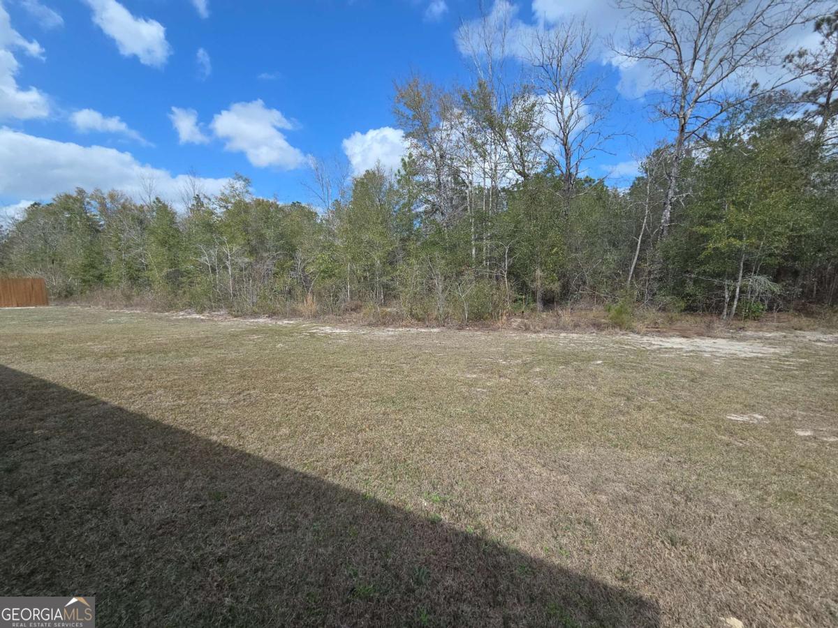 144 Linden Drive Jesup GA 31545