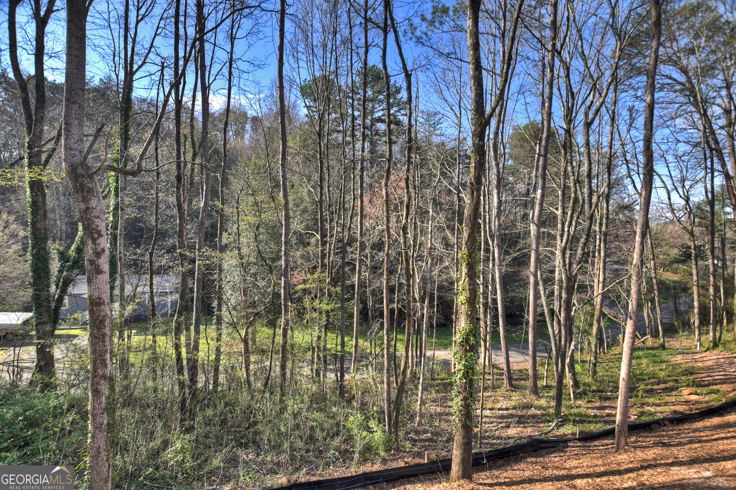 300 Mulberry Street East Ellijay GA 30540