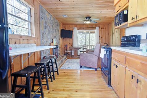 150 Donna Lee Lane Mineral Bluff GA 30559