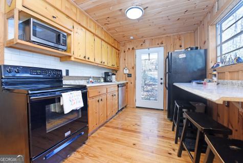 150 Donna Lee Lane Mineral Bluff GA 30559
