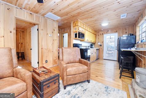 150 Donna Lee Lane Mineral Bluff GA 30559