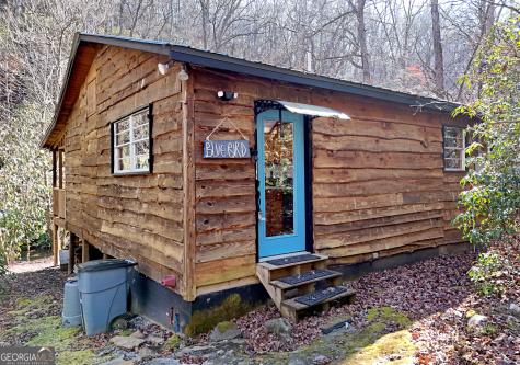 150 Donna Lee Lane Mineral Bluff GA 30559