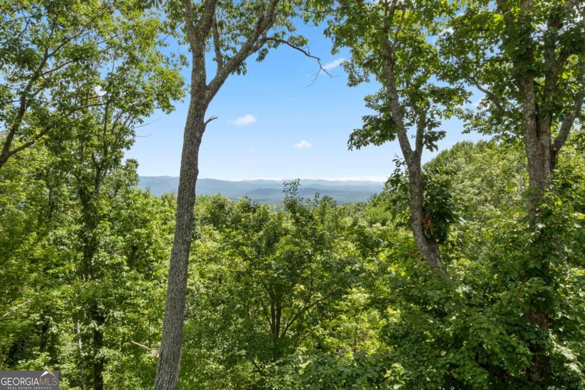 62 Bear Cub Ridge Big Canoe GA 30143