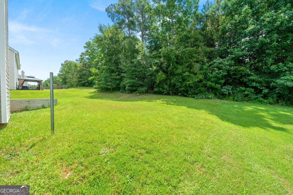 3161 Berthas Overlook Douglasville GA 30135