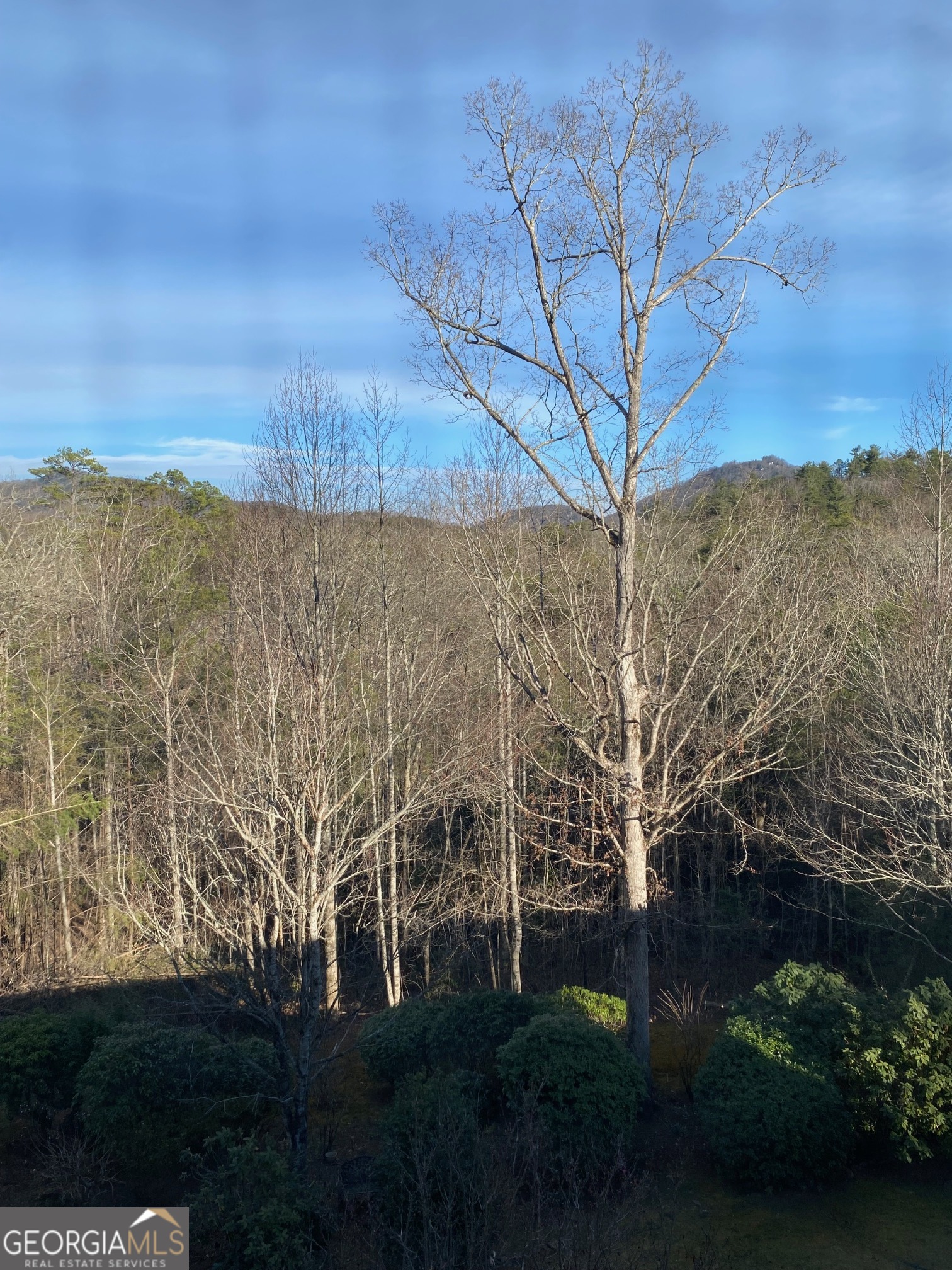 300 Ginger Creek Lane Clayton GA 30525