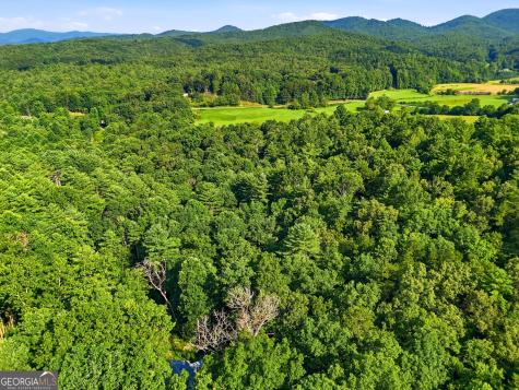 50 Pigeon Creek Road Blue Ridge GA 30513