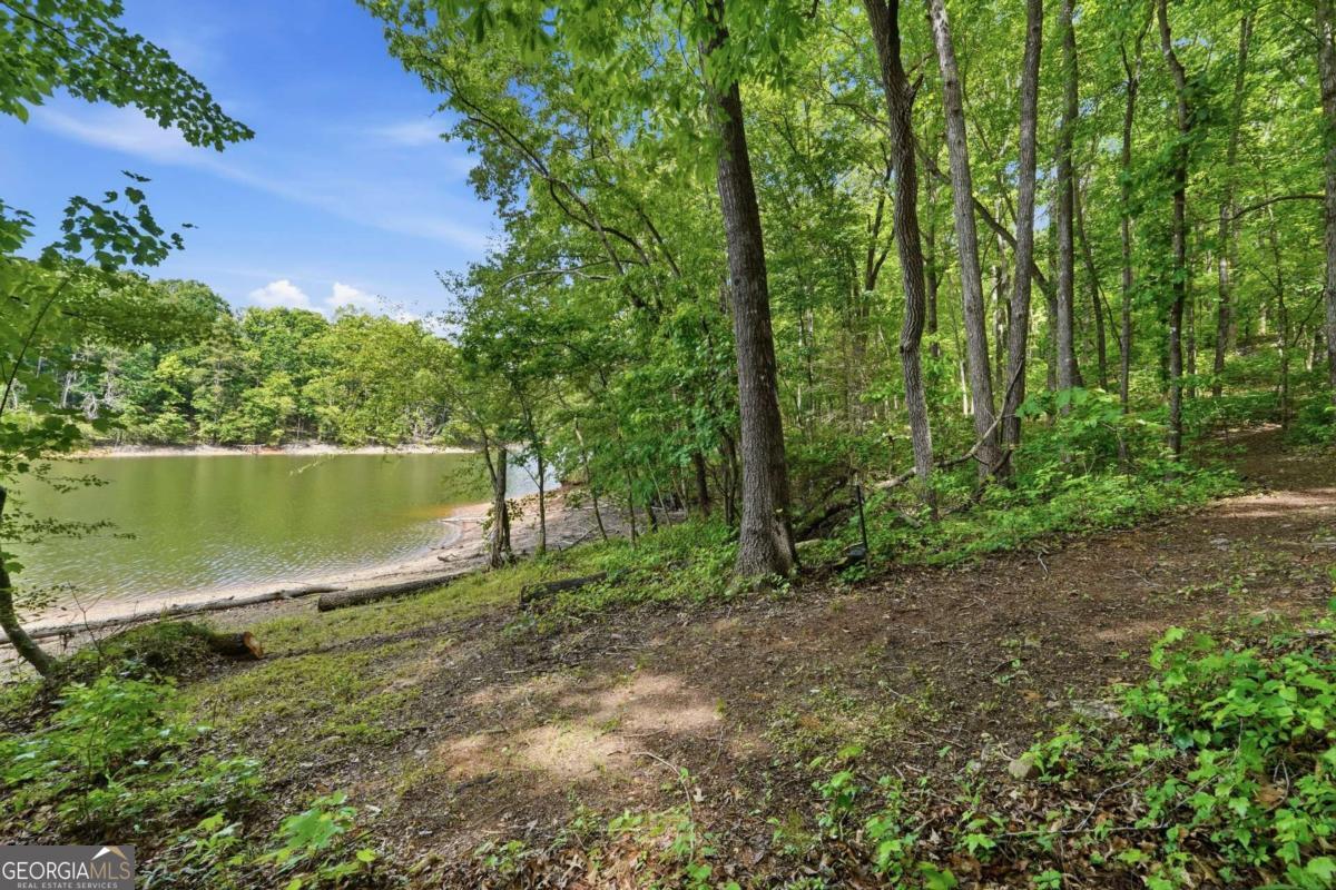 3480 Talking Leaves Trail Gainesville GA 30506