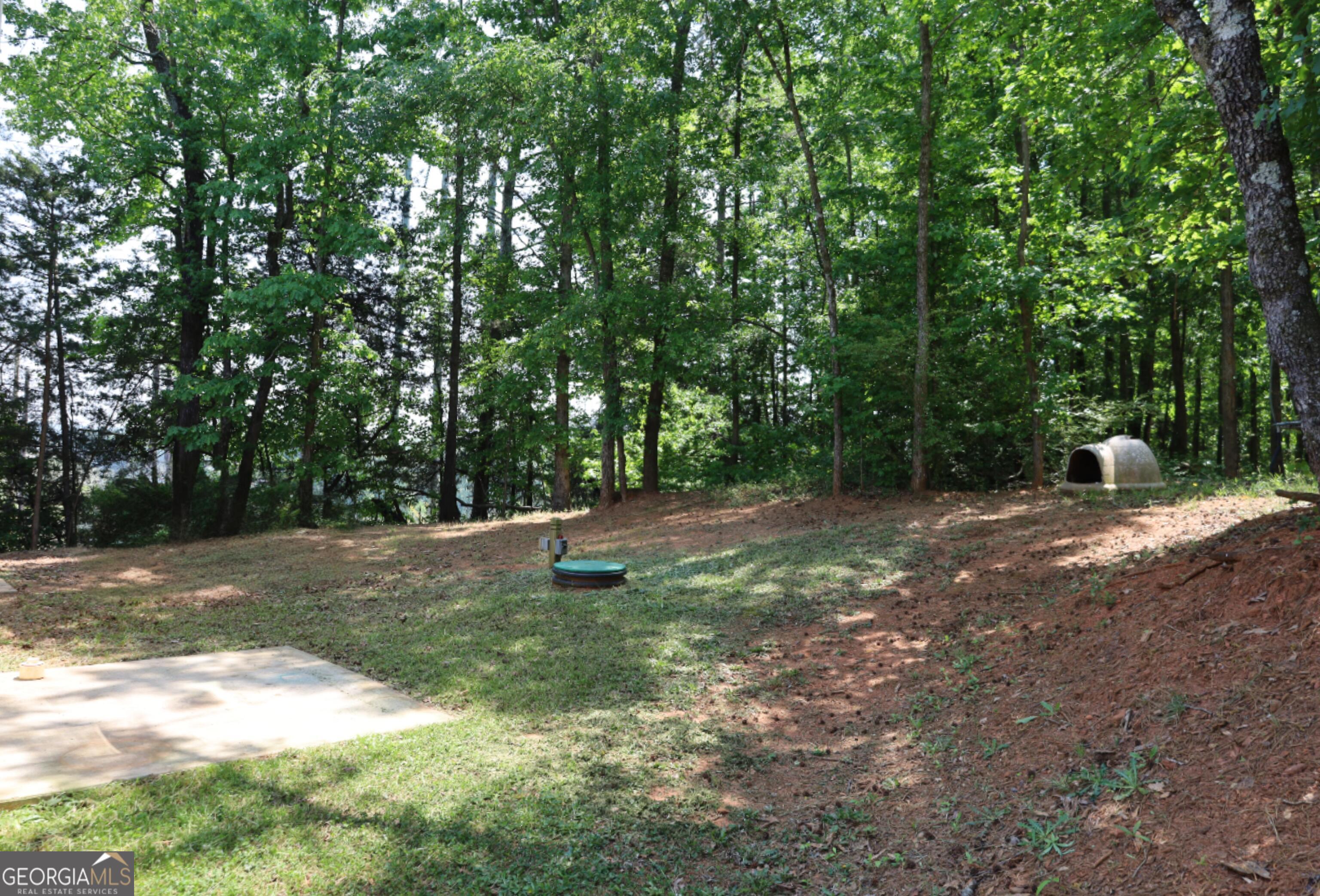 11313 Highway 334 Nicholson GA 30565