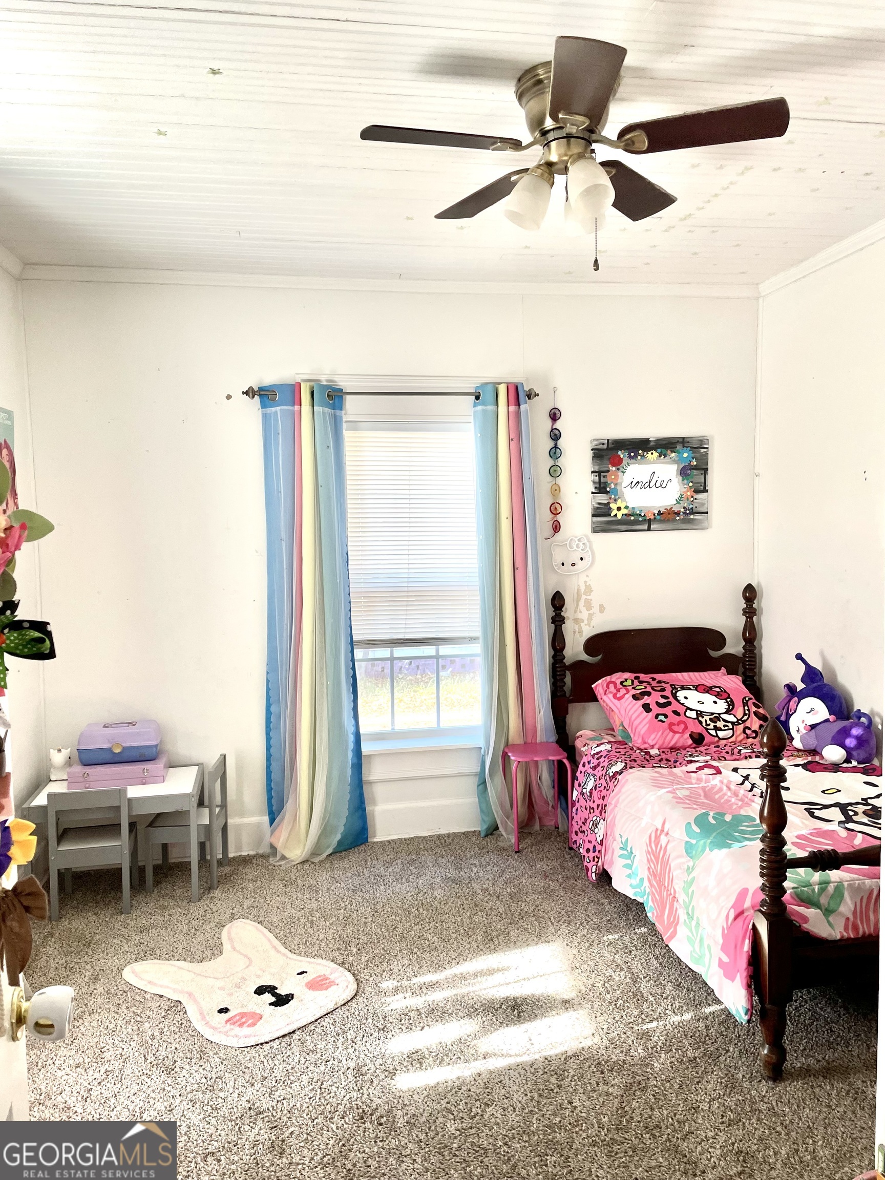 50 Cedar Street Metter GA 30439