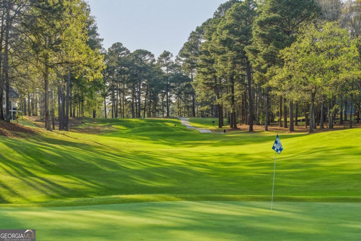 1040 Spyglass Hill Greensboro GA 30642