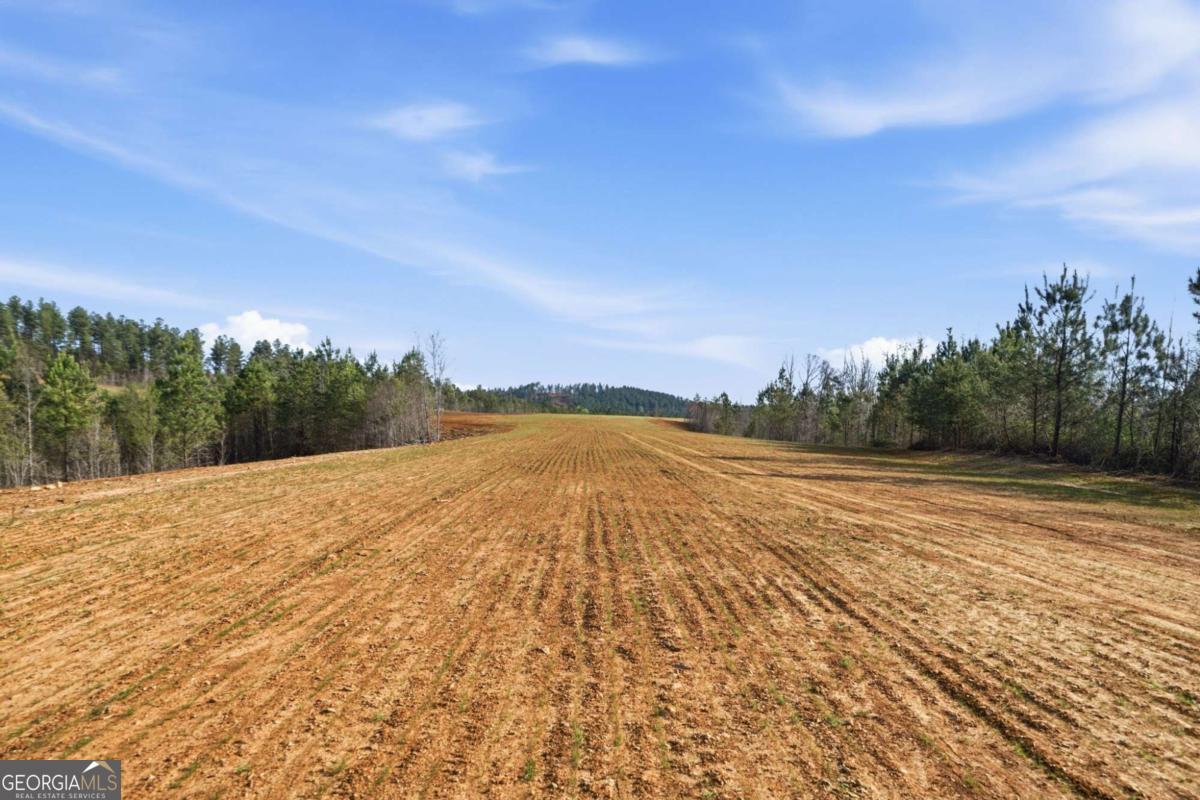1927 Leeches Road Ellijay GA 30540