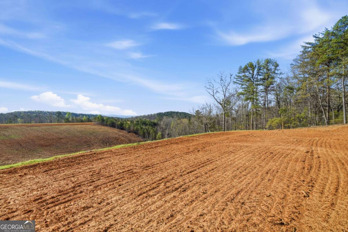 1927 Leeches Road Ellijay GA 30540