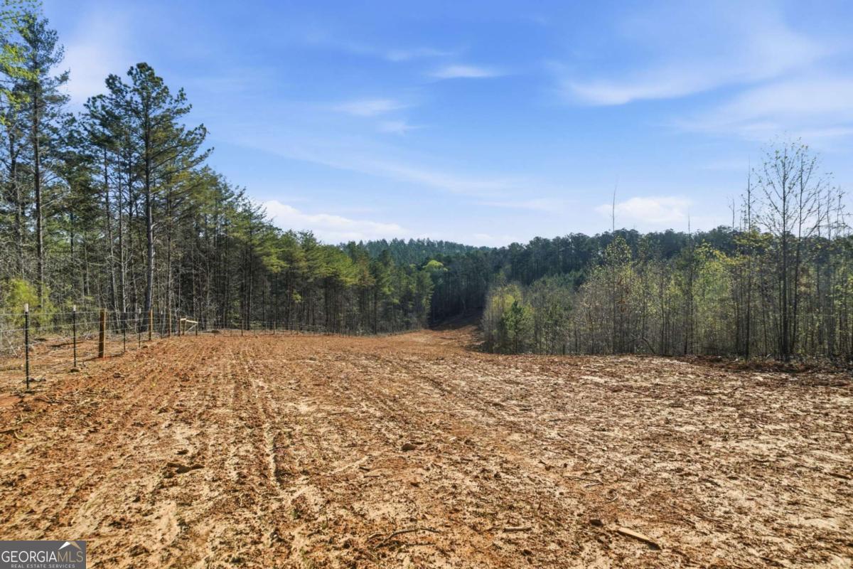1927 Leeches Road Ellijay GA 30540