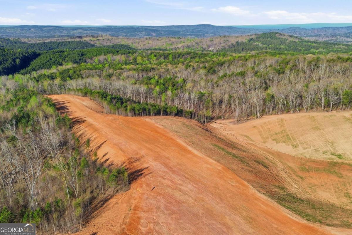 1927 Leeches Road Ellijay GA 30540