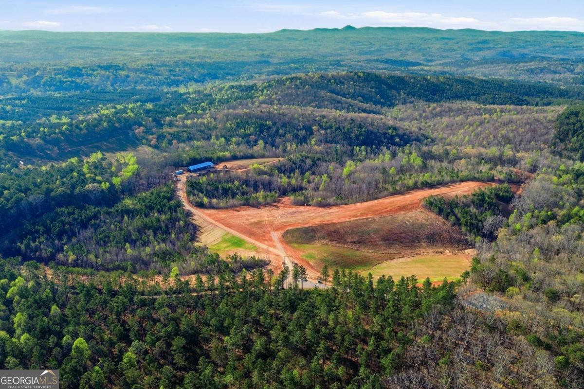 1927 Leeches Road Ellijay GA 30540