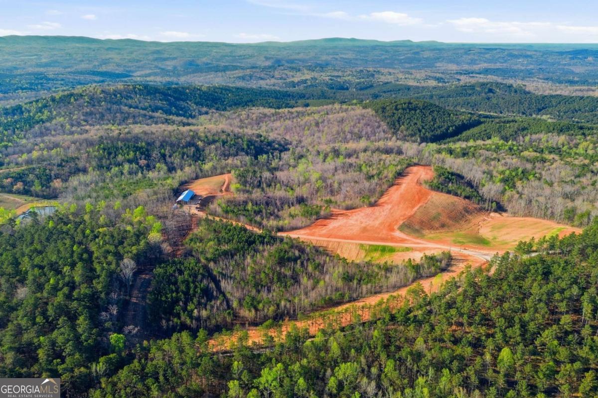 1927 Leeches Road Ellijay GA 30540