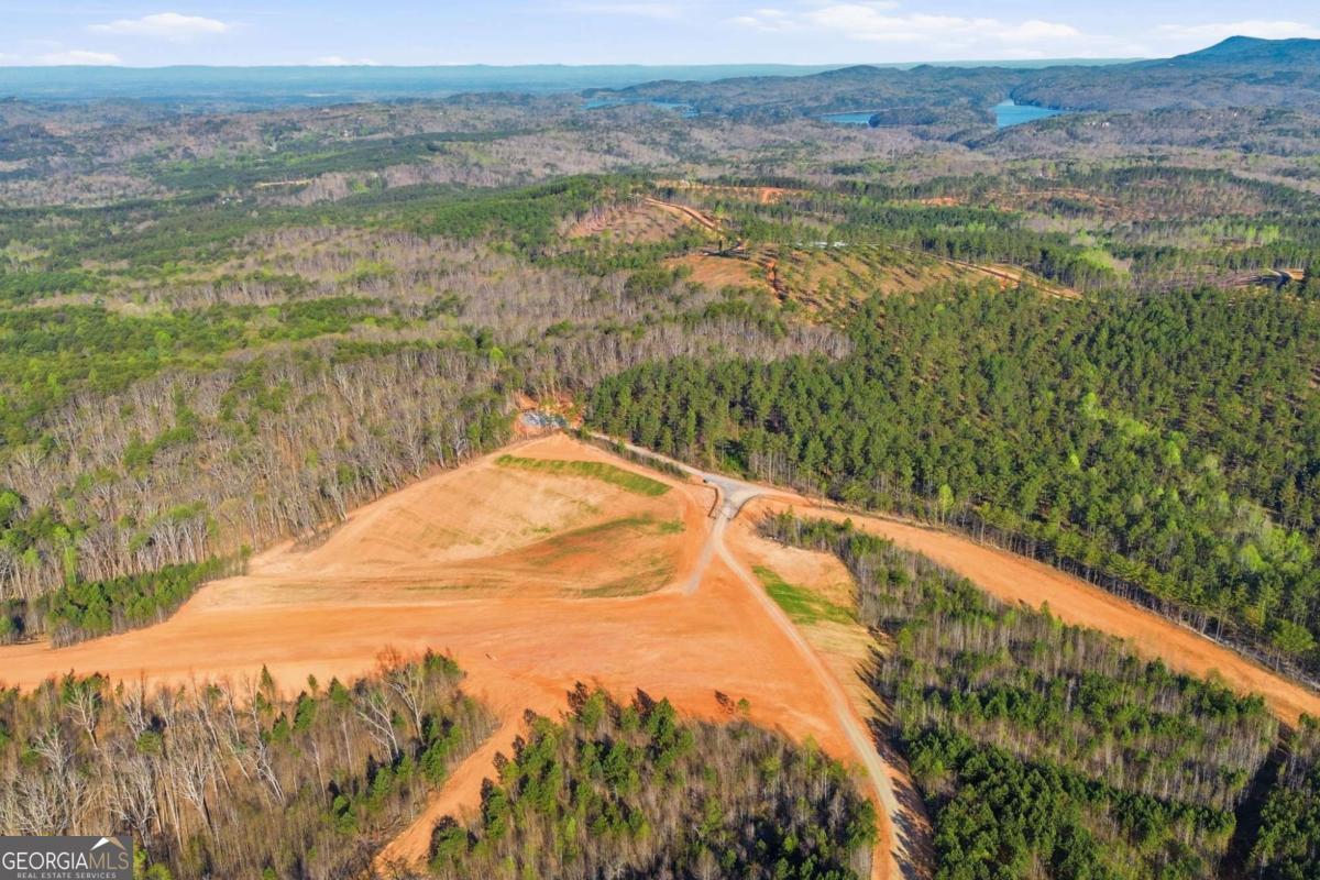 1927 Leeches Road Ellijay GA 30540