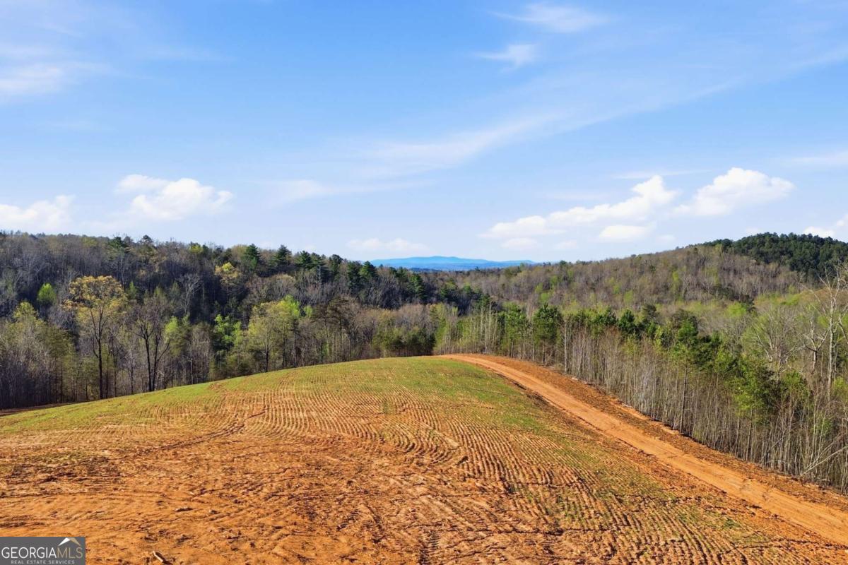 1927 Leeches Road Ellijay GA 30540