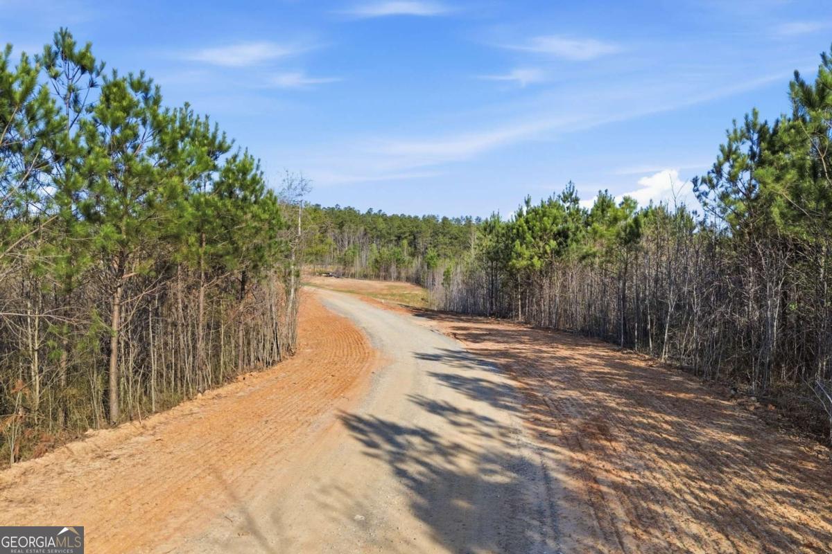 1927 Leeches Road Ellijay GA 30540