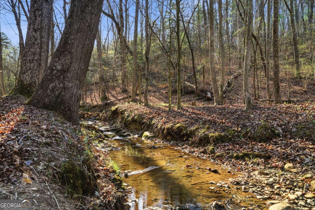 1927 Leeches Road Ellijay GA 30540