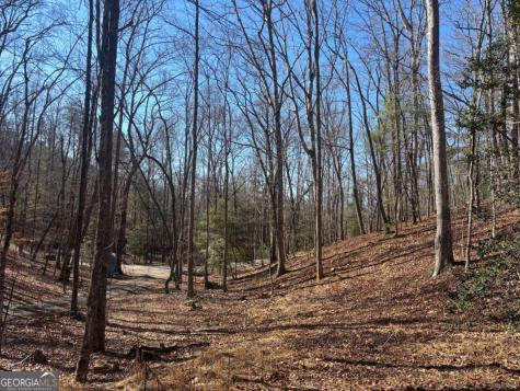 41 Majestic Way Morganton GA 30560