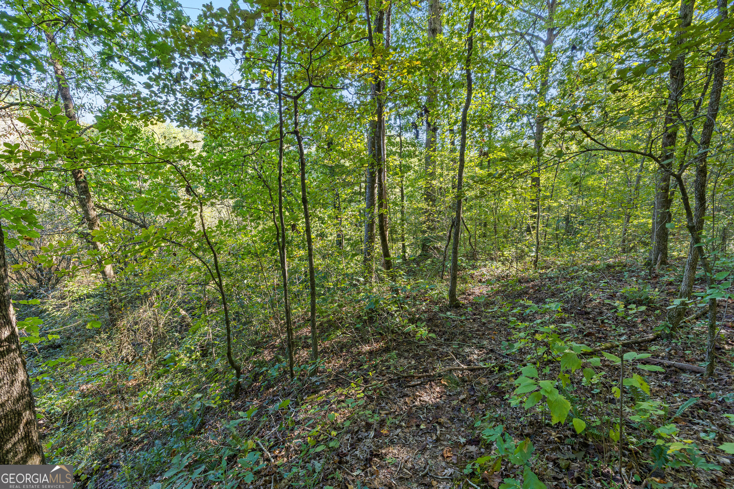 239 Fenner Road Jackson GA 30233