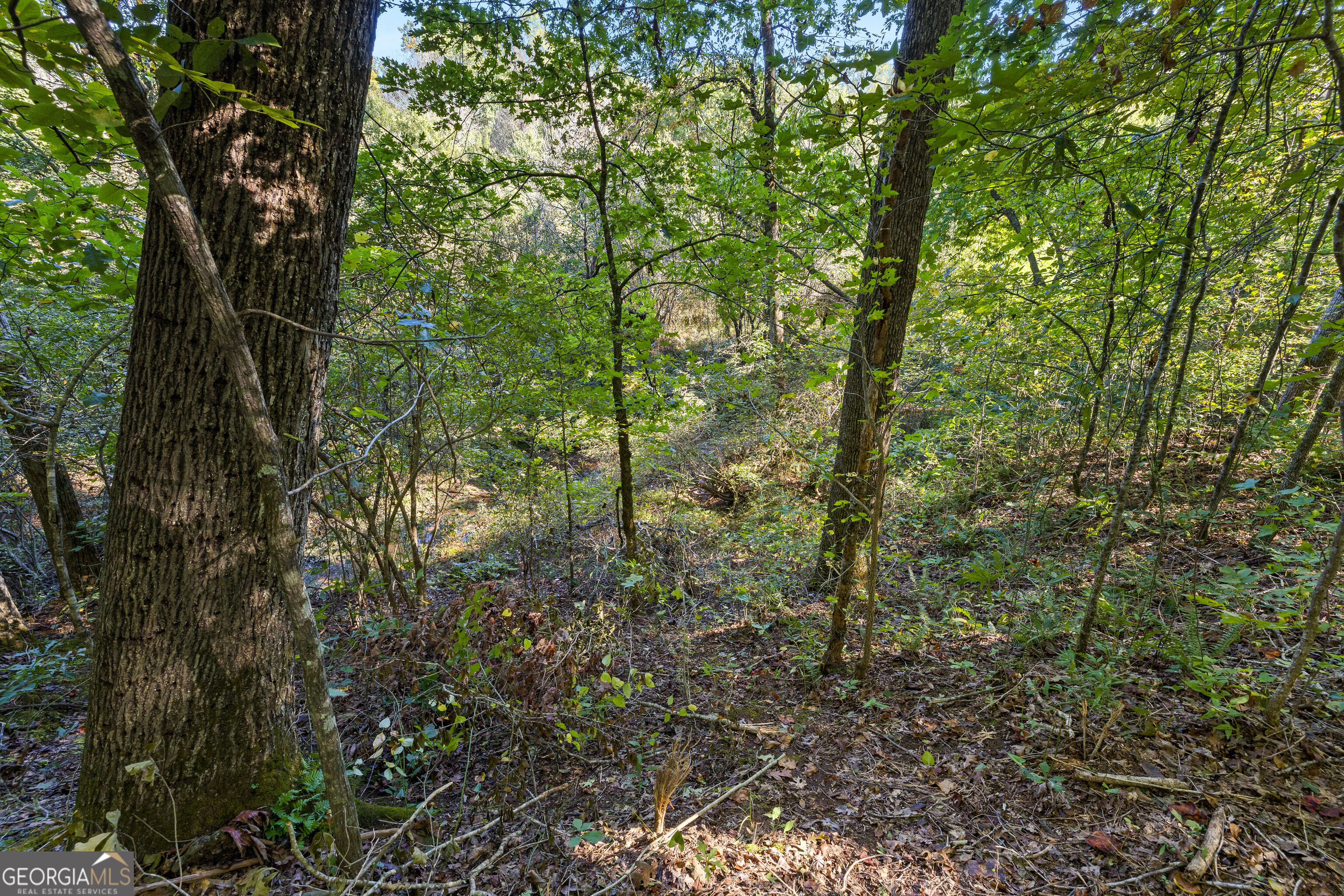 239 Fenner Road Jackson GA 30233