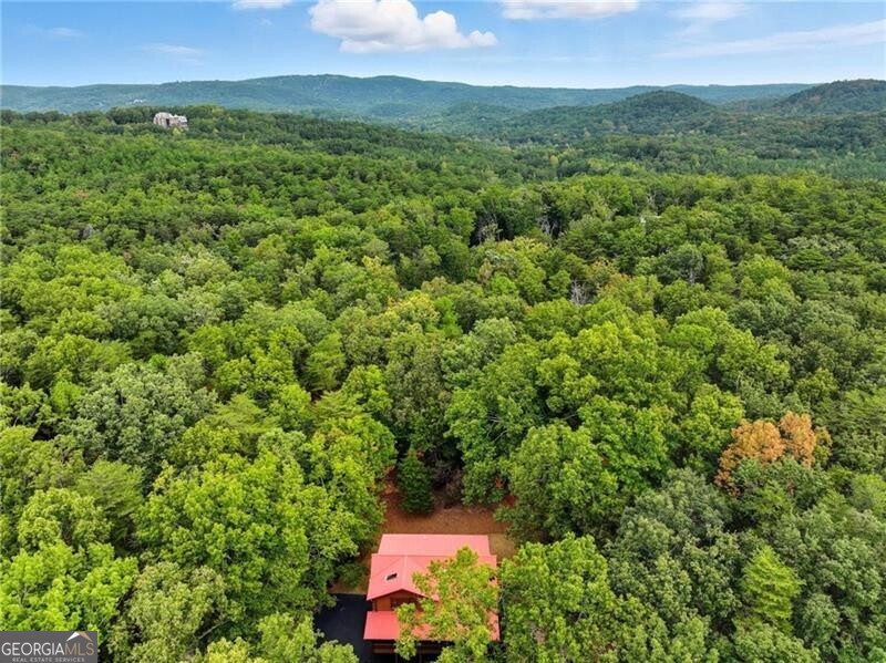509 E Valley Road NE Rydal GA 30171