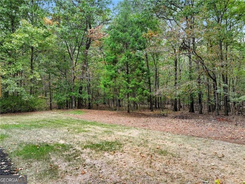 509 E Valley Road NE Rydal GA 30171