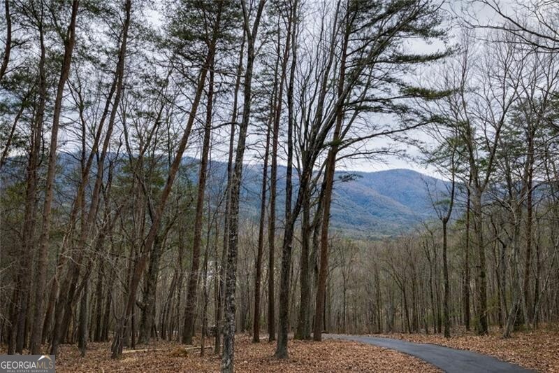 509 E Valley Road NE Rydal GA 30171